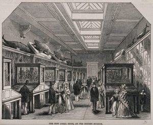 The British Museum the Coral Room with visitors - Wood engraving - 1847